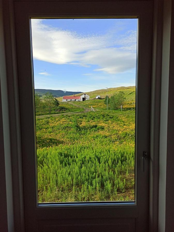 Engimyri Lodge Екстериор снимка