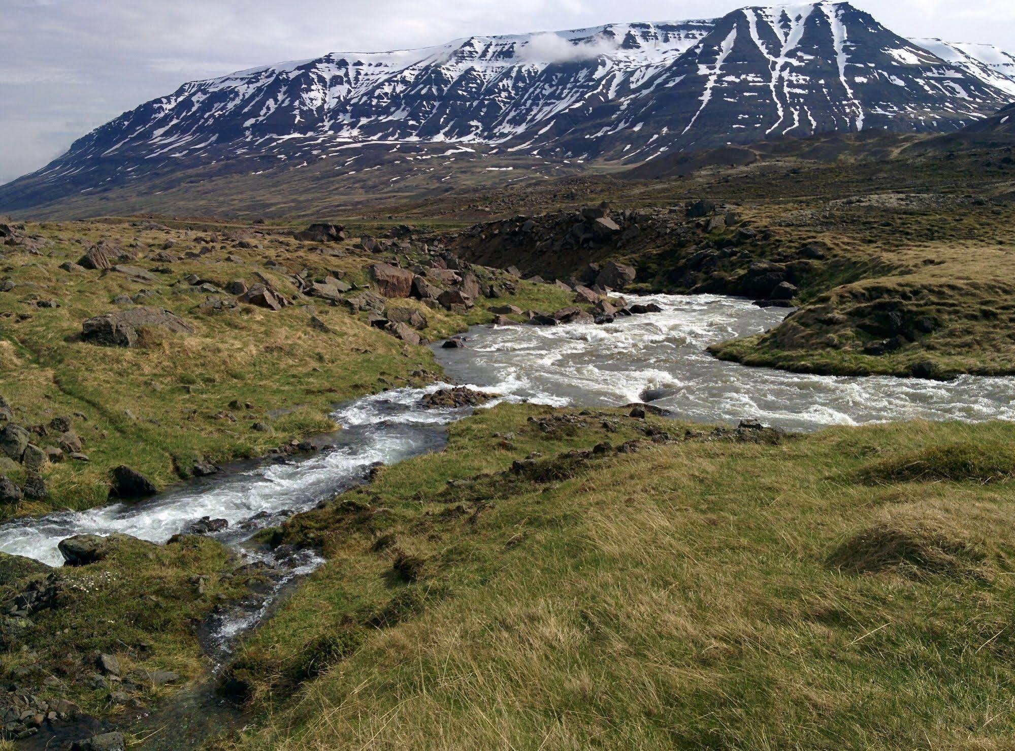 Engimyri Lodge Екстериор снимка